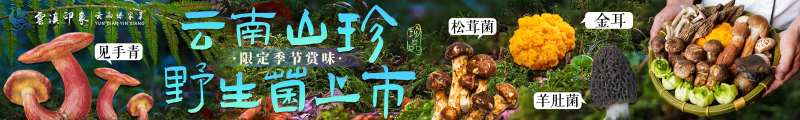 云南蘑菇长图海报-采灵感-cailinggan.com