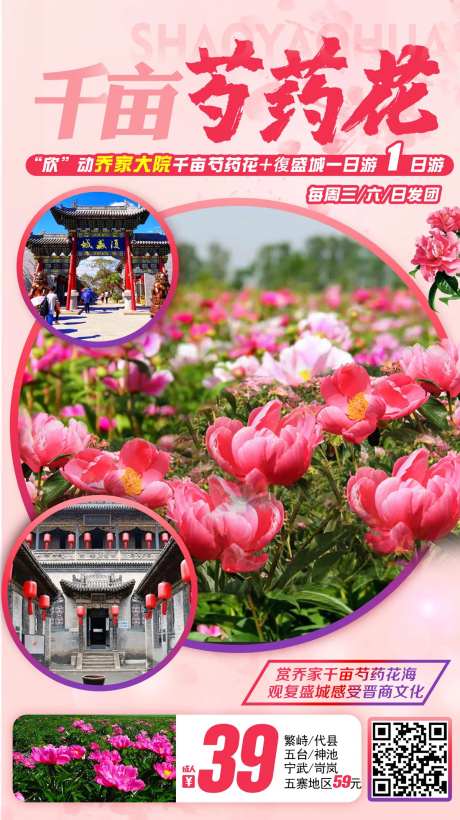 千亩芍药花乔家大院 一日游-采灵感-https://www.cailinggan.com/