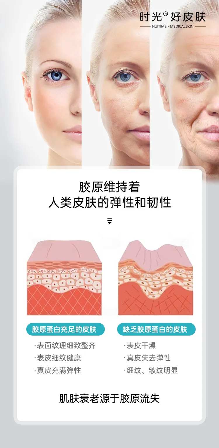 衰老进程海报-采灵感-cailinggan.com