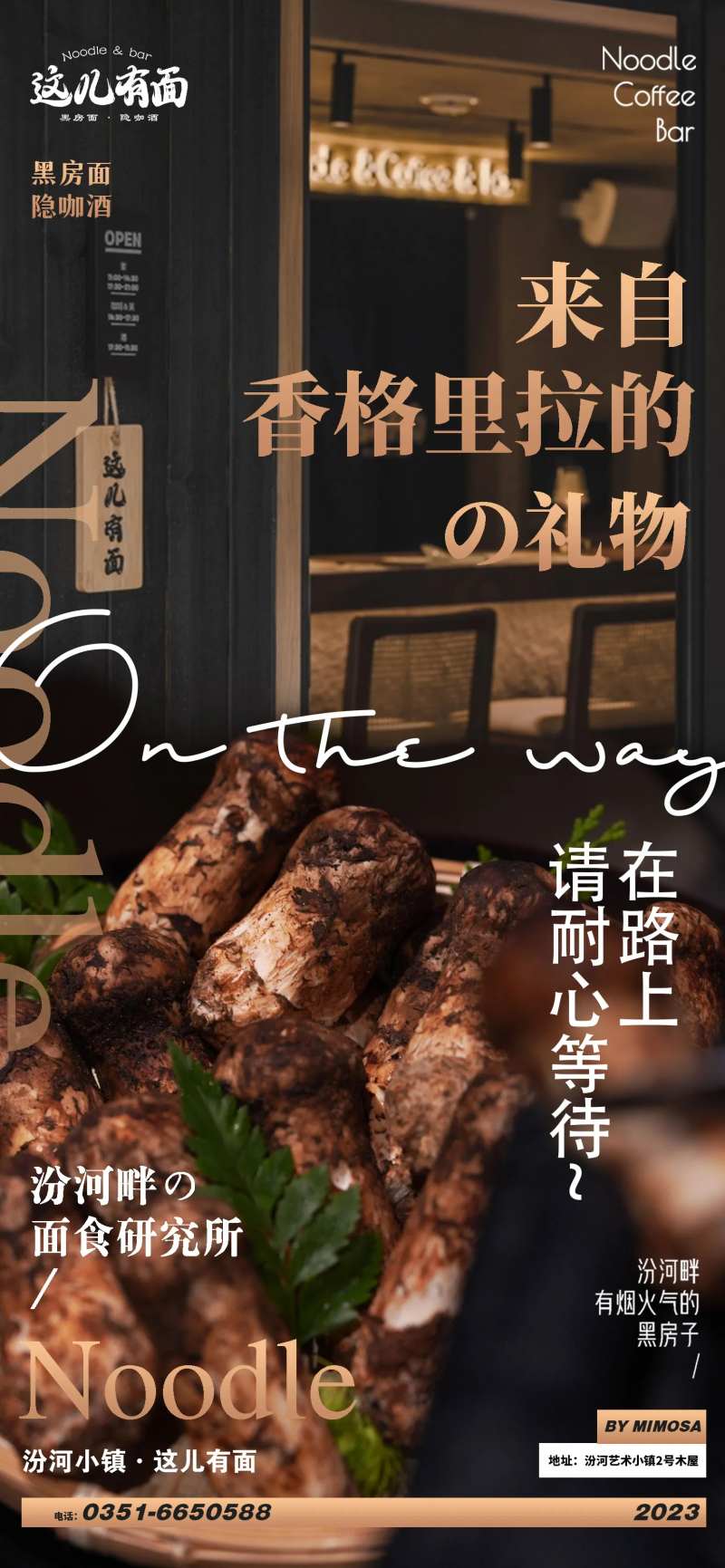 香格里拉松茸菌海报-采灵感-cailinggan.com