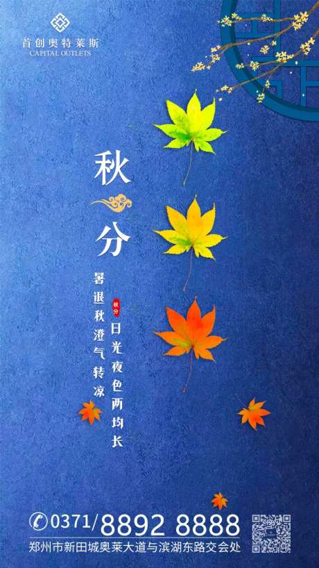 秋天枫叶秋分二十四节气移动端海报-采灵感-https://www.cailinggan.com/