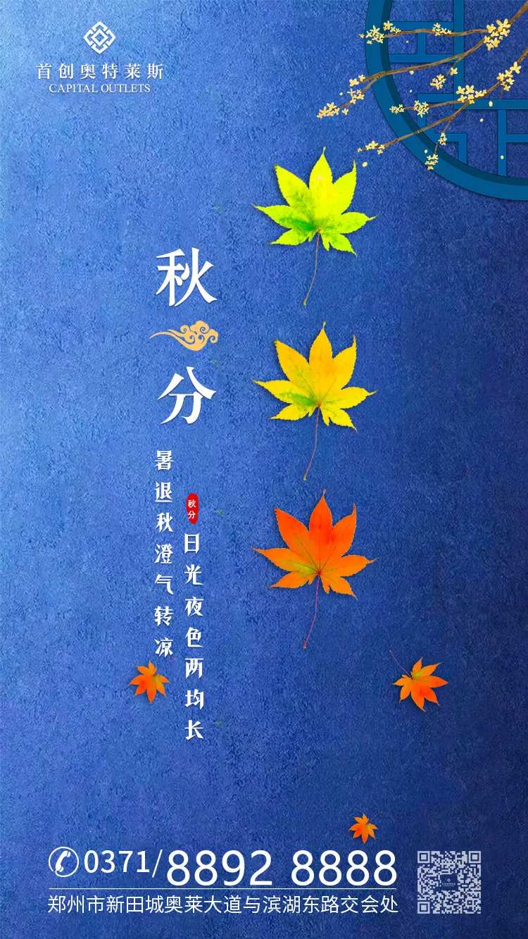 秋天枫叶秋分二十四节气移动端海报-采灵感-cailinggan.com