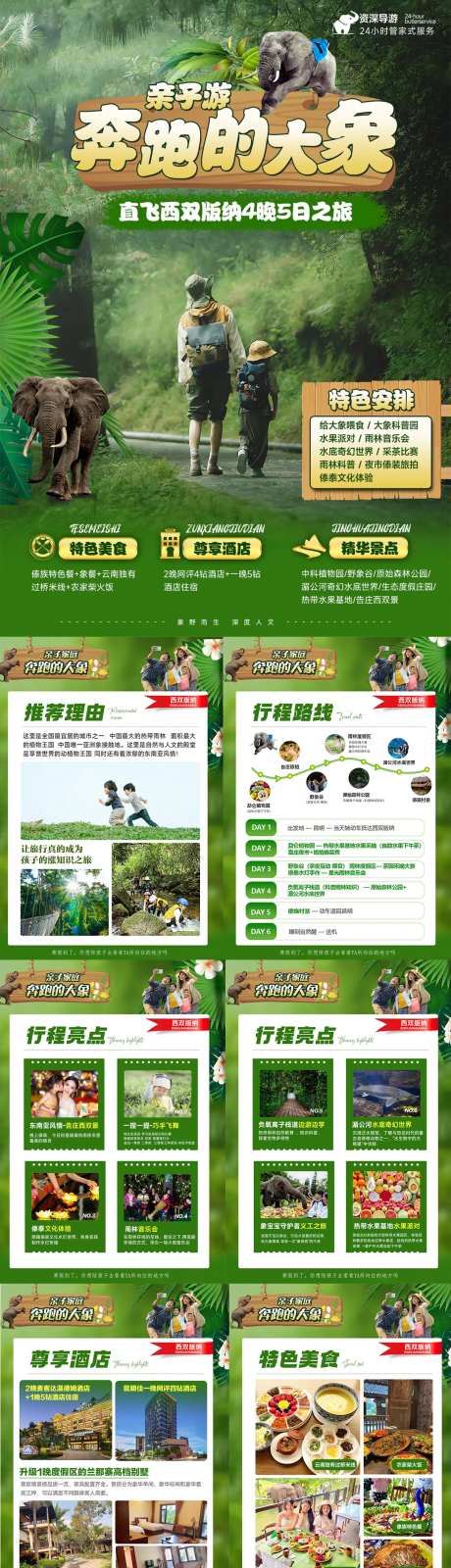 西双版纳亲子游行程美化专题设计-采灵感-https://www.cailinggan.com/