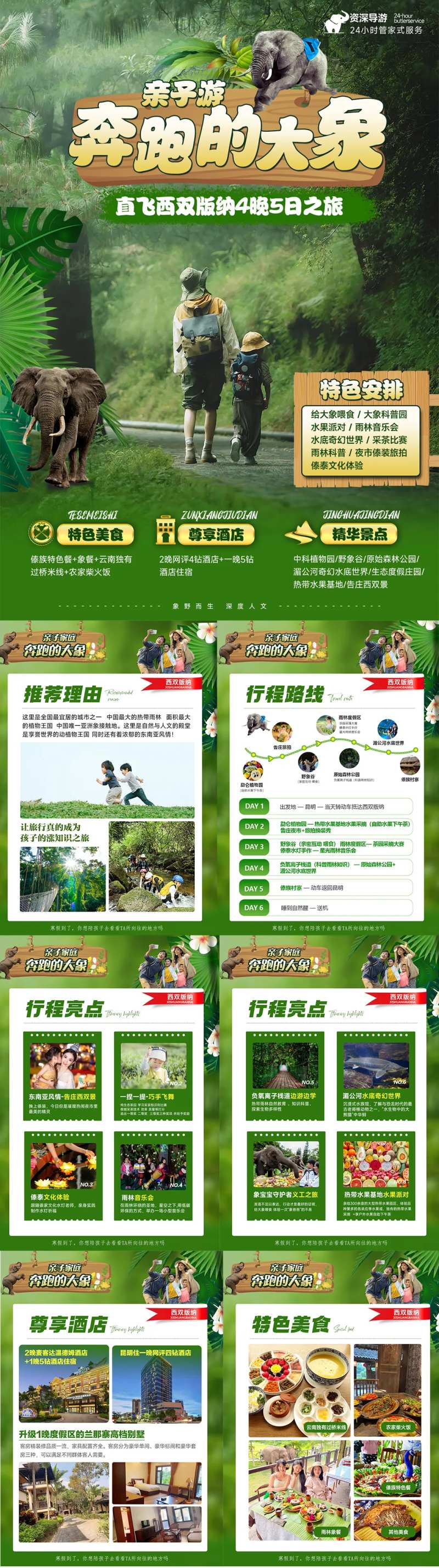 西双版纳亲子游行程美化专题设计-采灵感-cailinggan.com