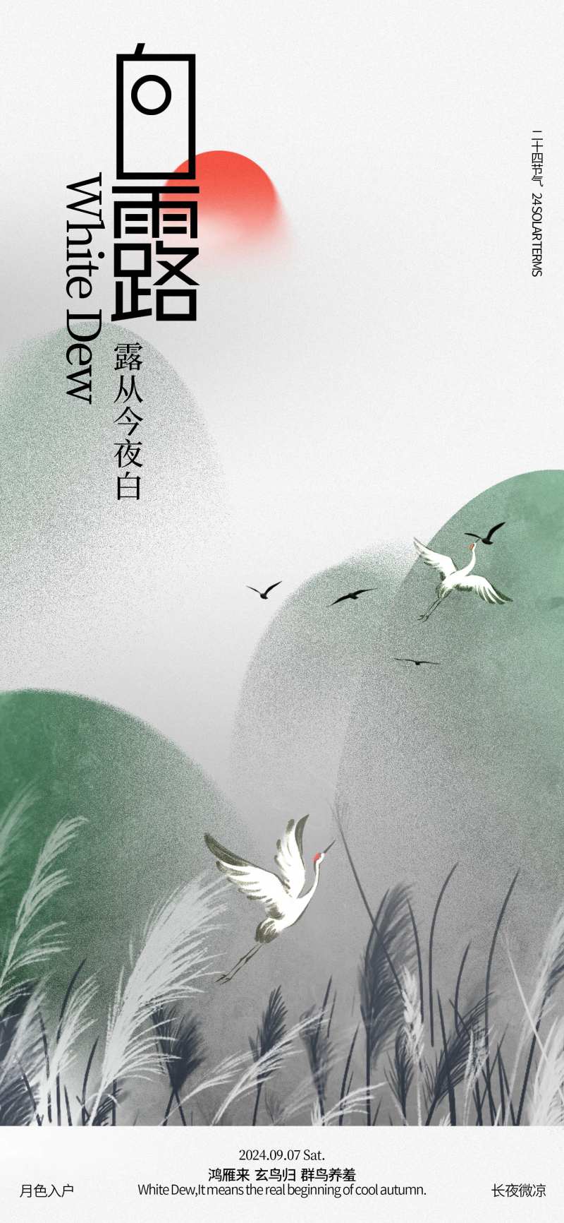 白露节气芦苇海报-采灵感-cailinggan.com
