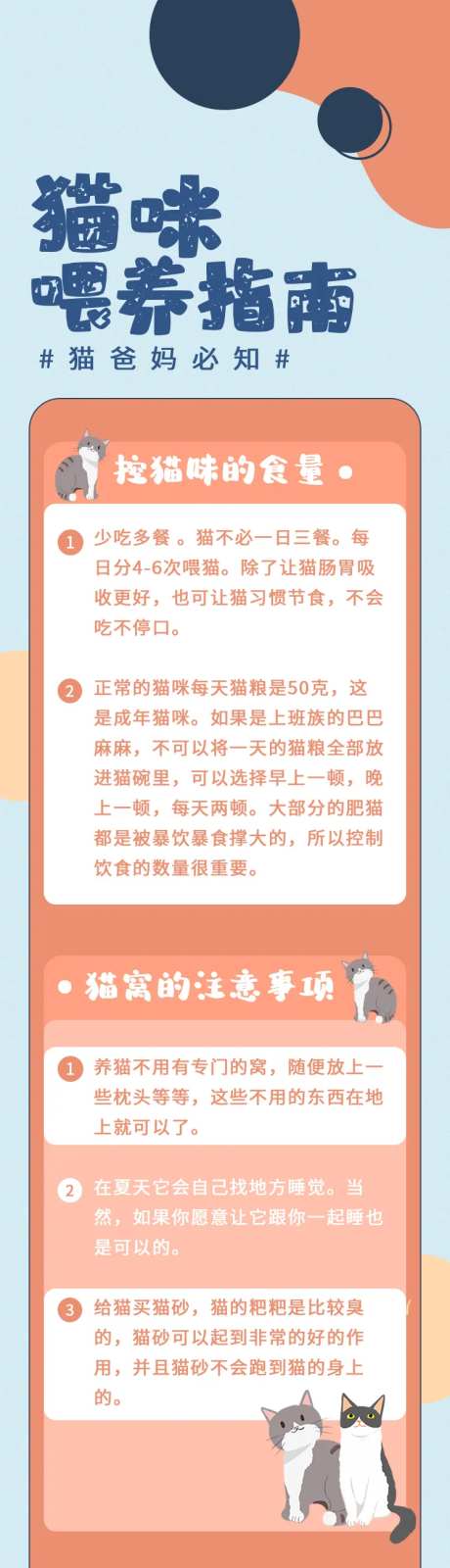 粉色可爱家宠猫咪喂养指南-采灵感-https://www.cailinggan.com/