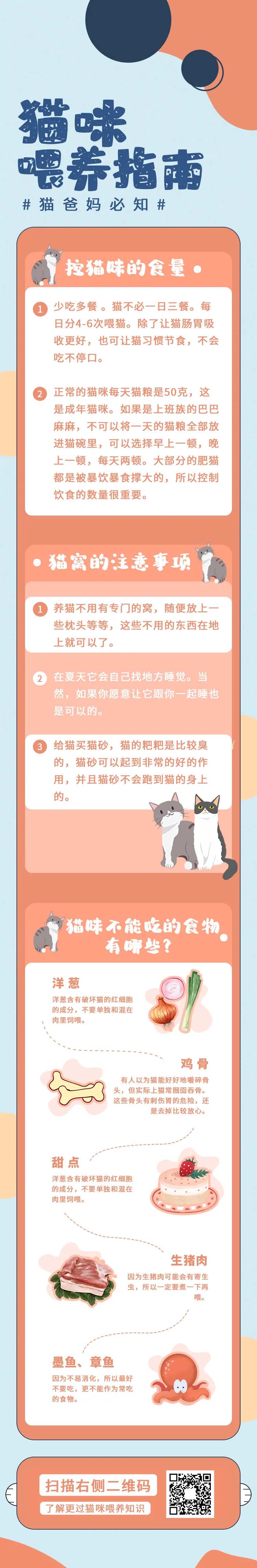 粉色可爱家宠猫咪喂养指南-采灵感-cailinggan.com