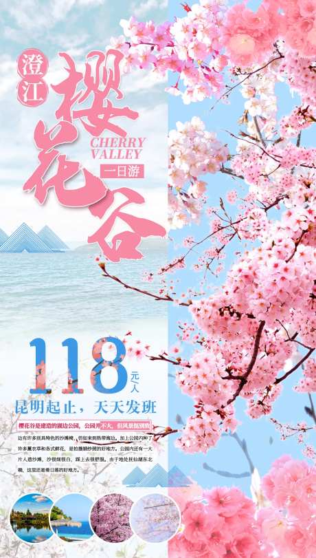 澄江樱花谷旅游海报-采灵感-https://www.cailinggan.com/