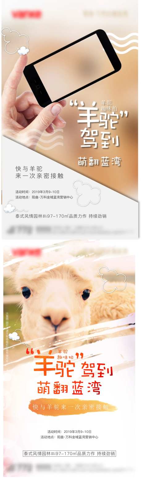 羊驼活动海报-采灵感-https://www.cailinggan.com/