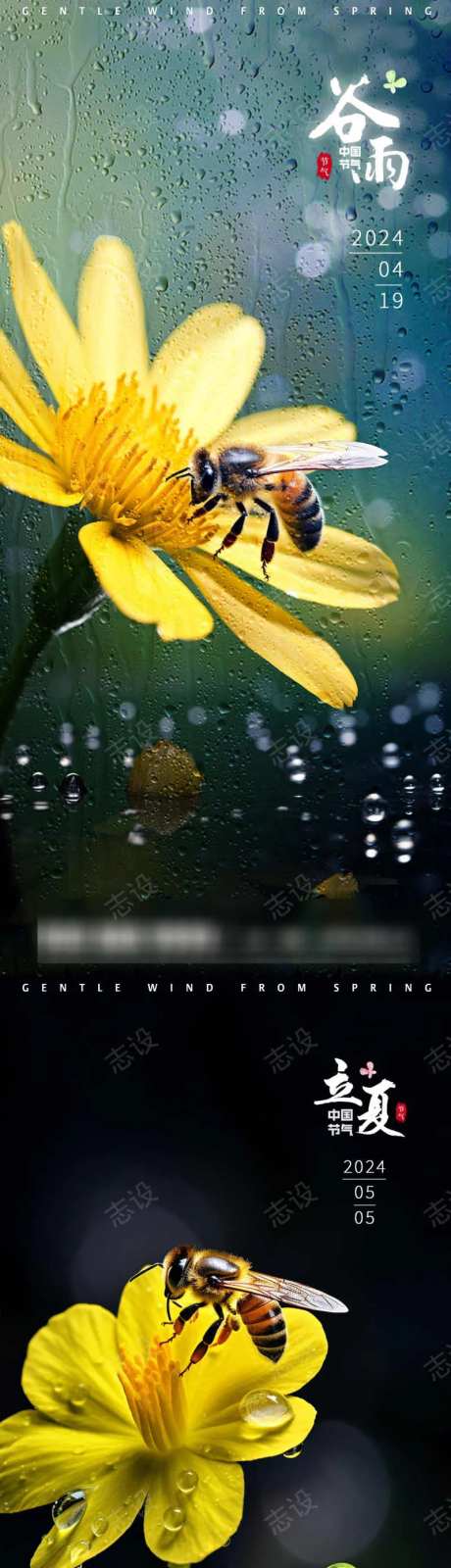 谷雨立夏小满微观小蜜蜂-采灵感-https://www.cailinggan.com/