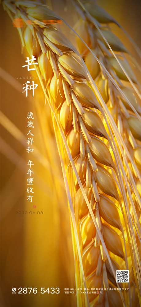 芒种季节海报-采灵感-https://www.cailinggan.com/