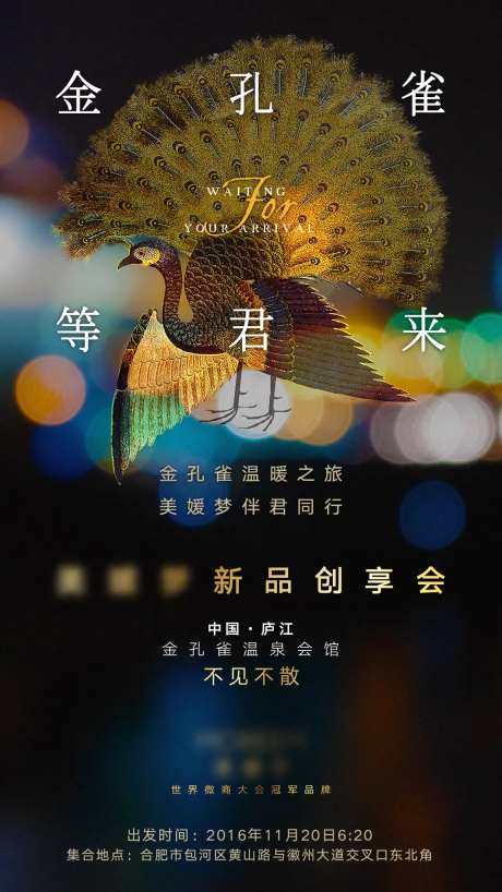 金孔雀海报-采灵感-https://www.cailinggan.com/