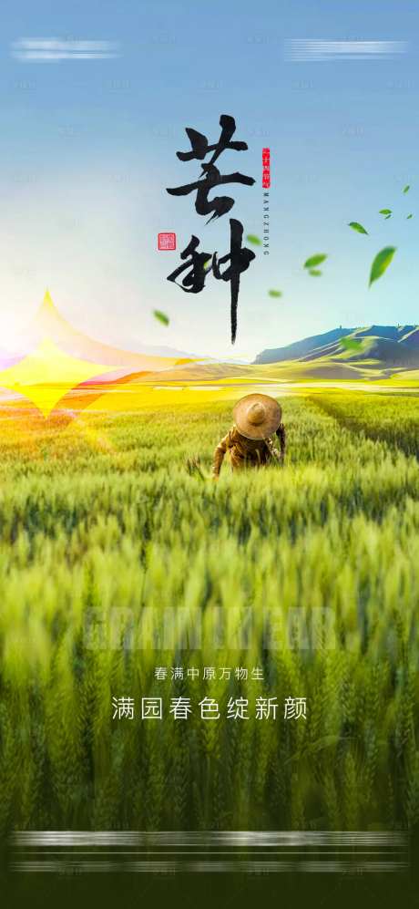 芒种节气海报-采灵感-cailinggan.com