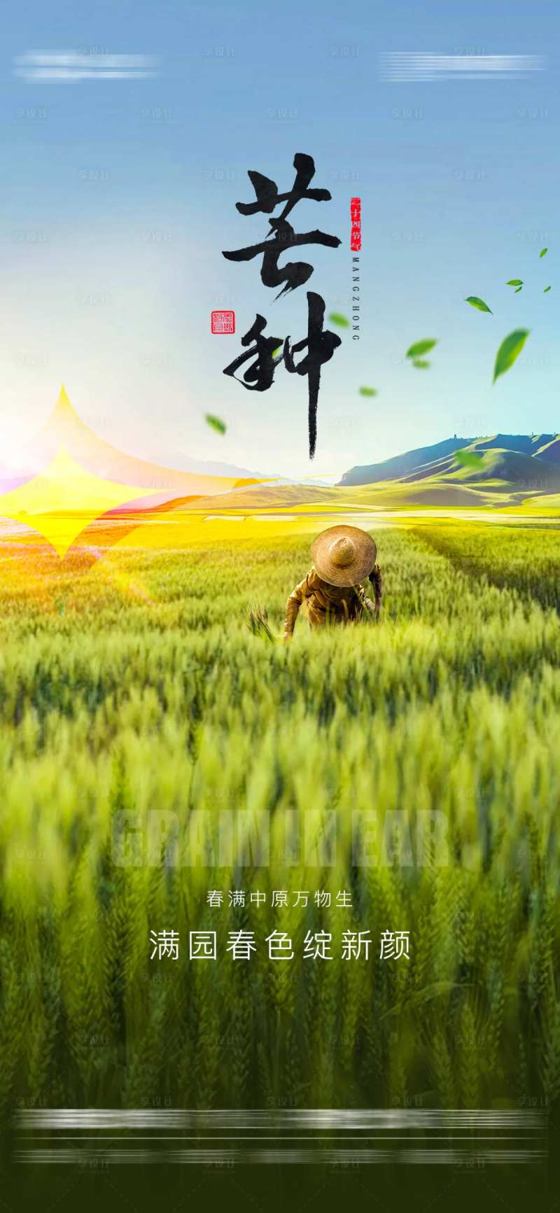 芒种节气海报-采灵感-cailinggan.com