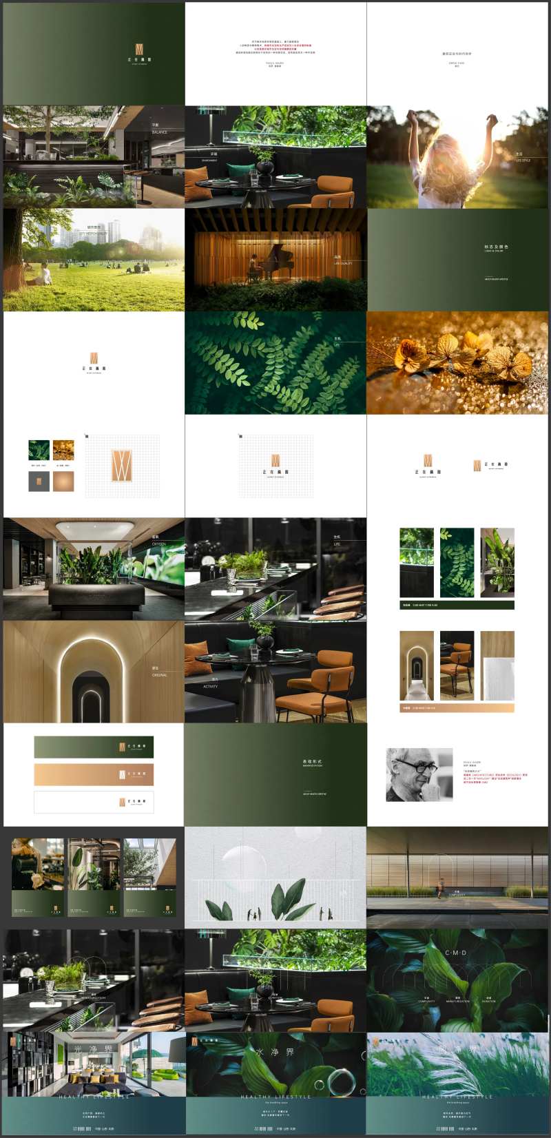 vi-采灵感-cailinggan.com