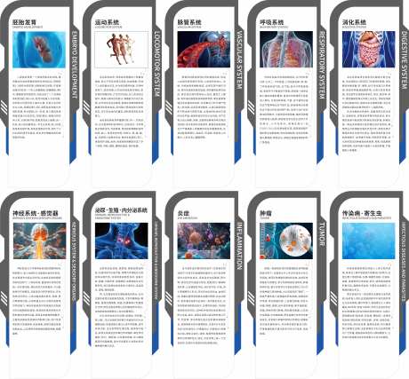 人体九大系统-采灵感-https://www.cailinggan.com/