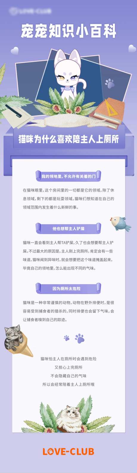 猫咪宠物知识小百科-采灵感-https://www.cailinggan.com/
