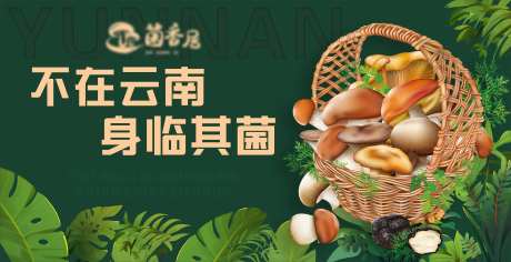 野生菌背景-采灵感-https://www.cailinggan.com/