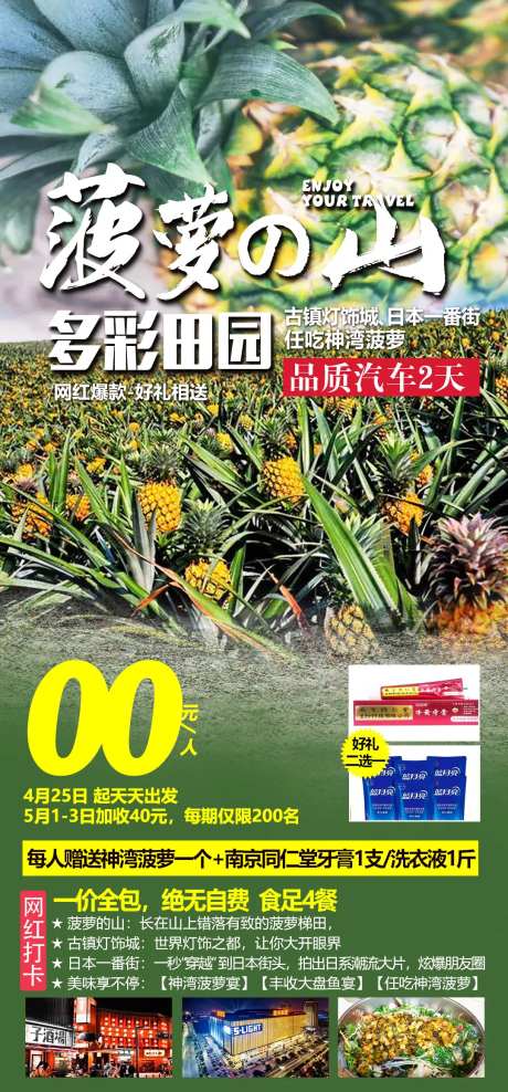 菠萝山旅游海报-采灵感-https://www.cailinggan.com/