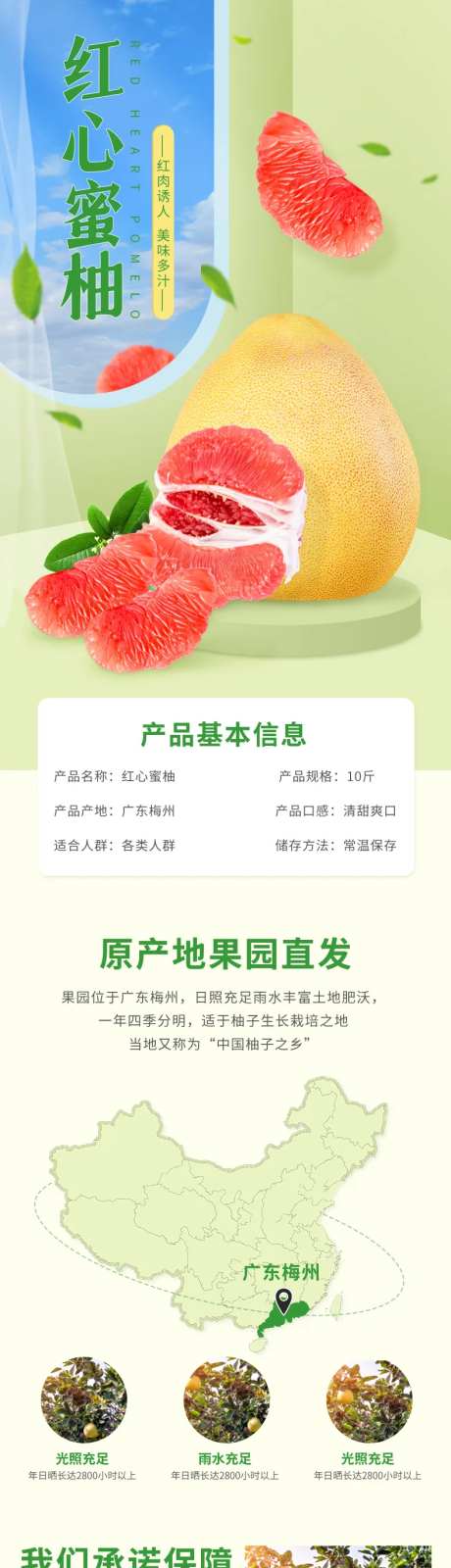 小清新生鲜柚子蜜柚红心柚详情页-采灵感-https://www.cailinggan.com/