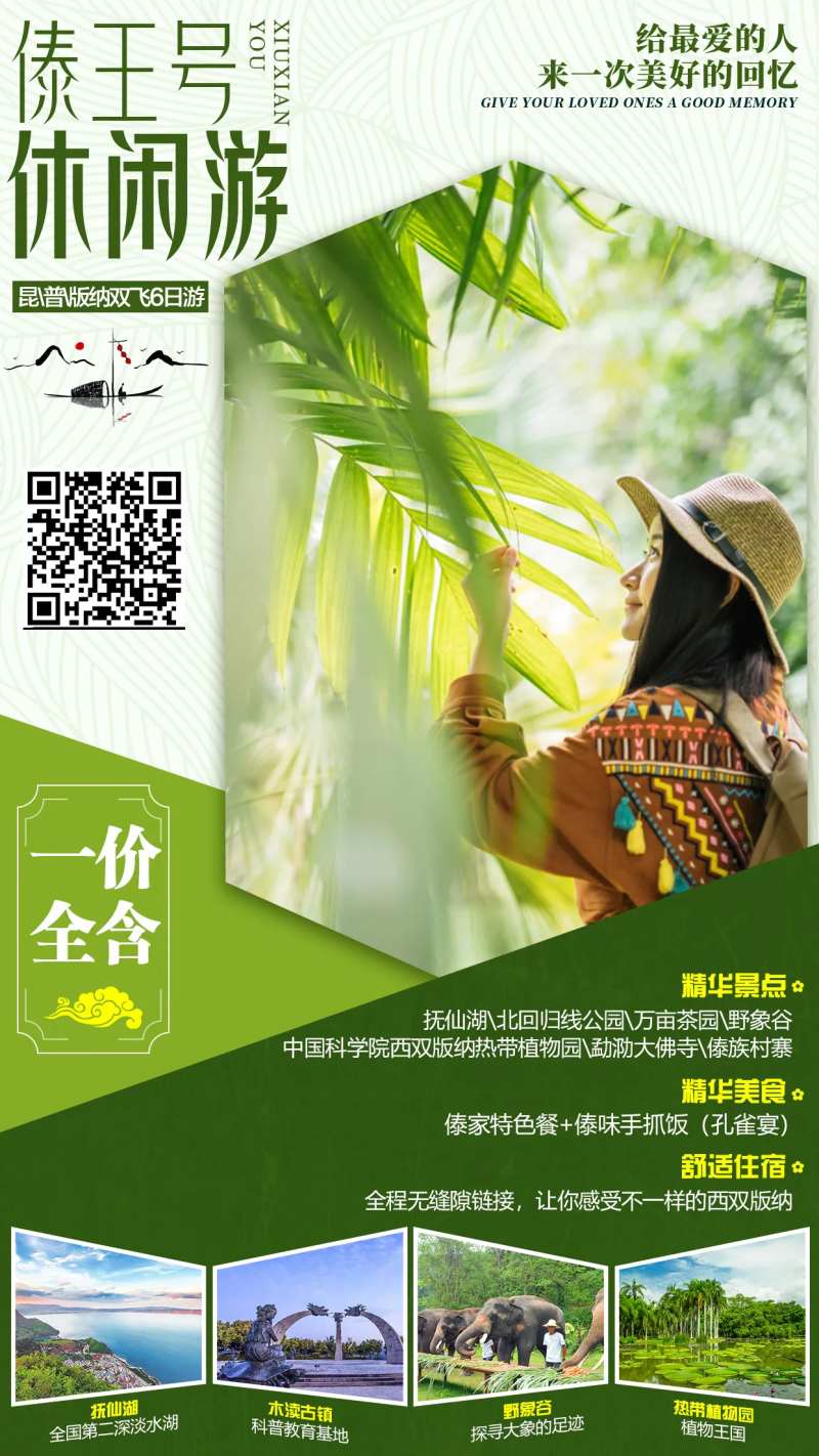 傣王号休闲游云南旅游海报-采灵感-cailinggan.com