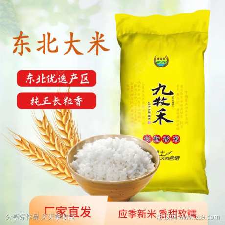 东北大米主图-采灵感-https://www.cailinggan.com/