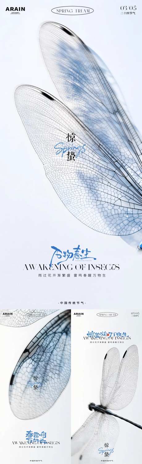 惊蛰节气蜻蜓翅膀摄影简约系列海报-采灵感-https://www.cailinggan.com/