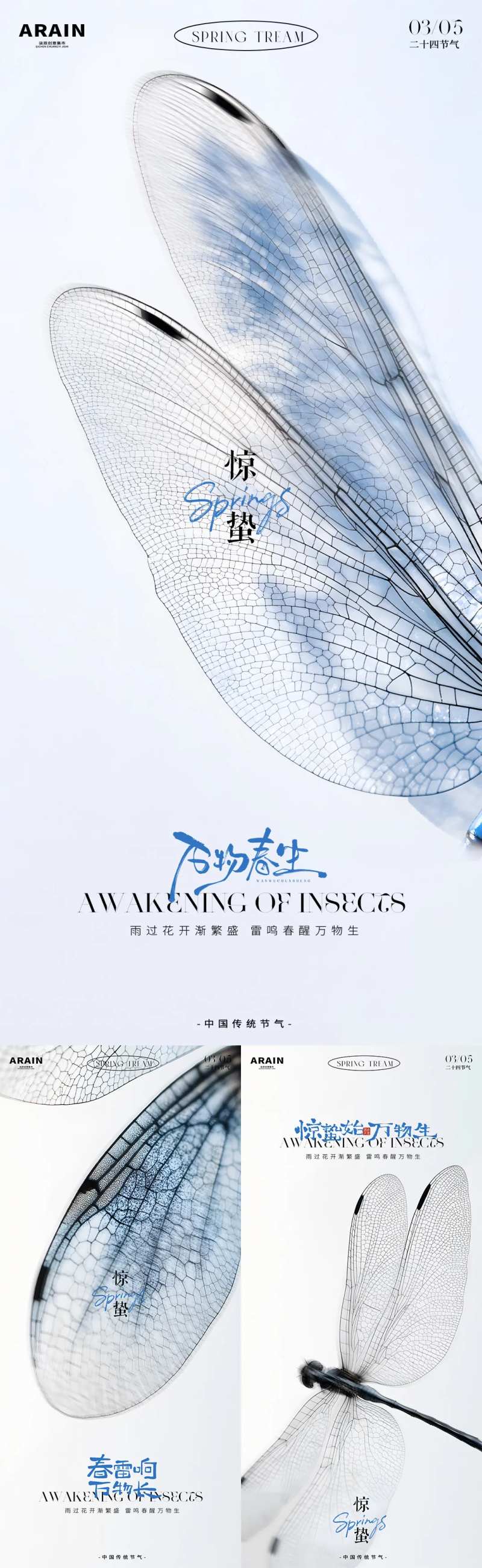 惊蛰节气蜻蜓翅膀摄影简约系列海报-采灵感-cailinggan.com