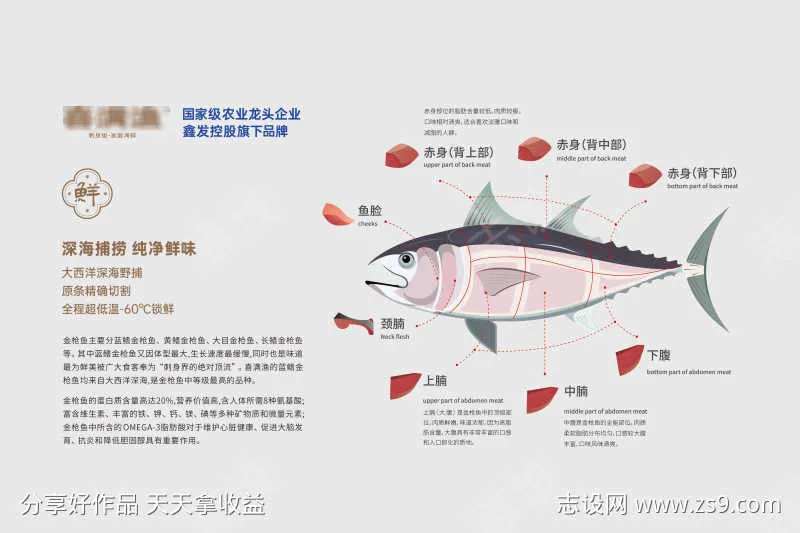 金枪鱼解剖图餐垫-采灵感-cailinggan.com