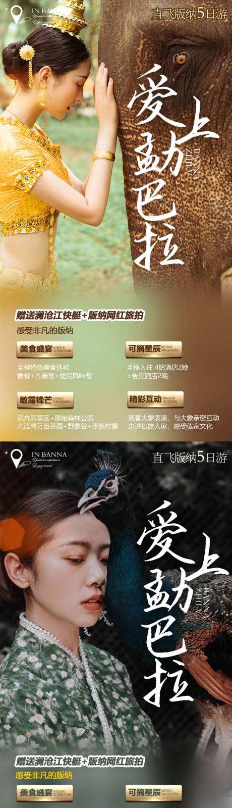 西双版纳宣传系列海报-采灵感-https://www.cailinggan.com/