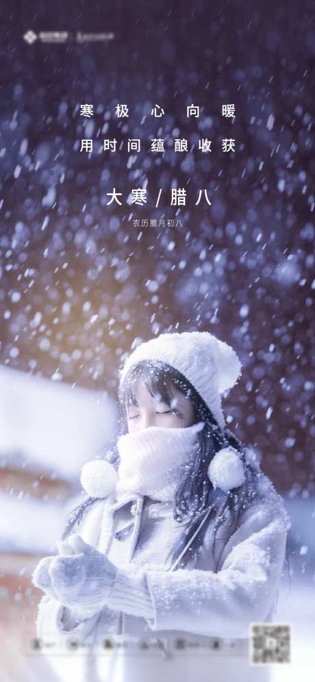 腊八大寒海报-采灵感-cailinggan.com