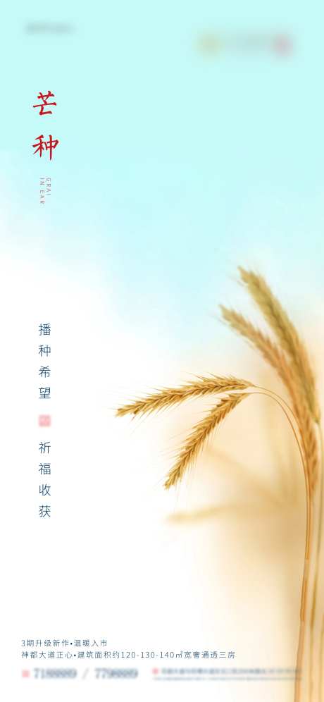 地产芒种手机端微推-采灵感-https://www.cailinggan.com/