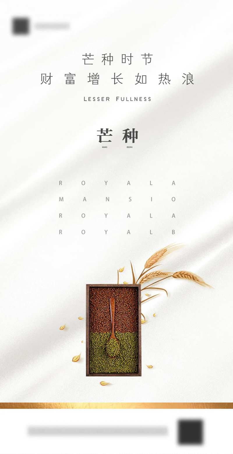 芒种节气移动端海报-采灵感-cailinggan.com