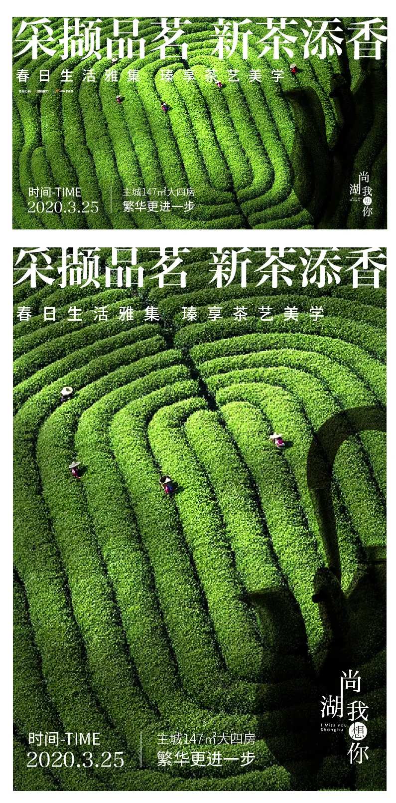 茶艺活动海报-采灵感-cailinggan.com
