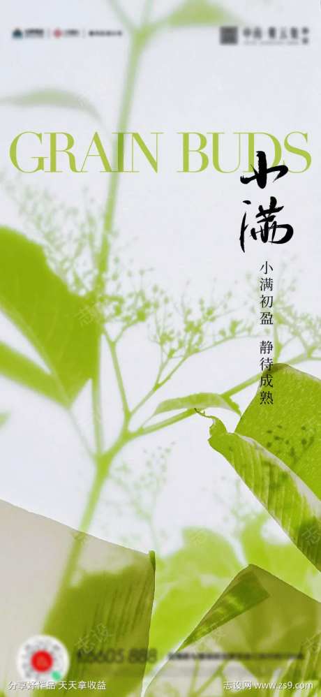 小满芒种夏至海报-采灵感-cailinggan.com
