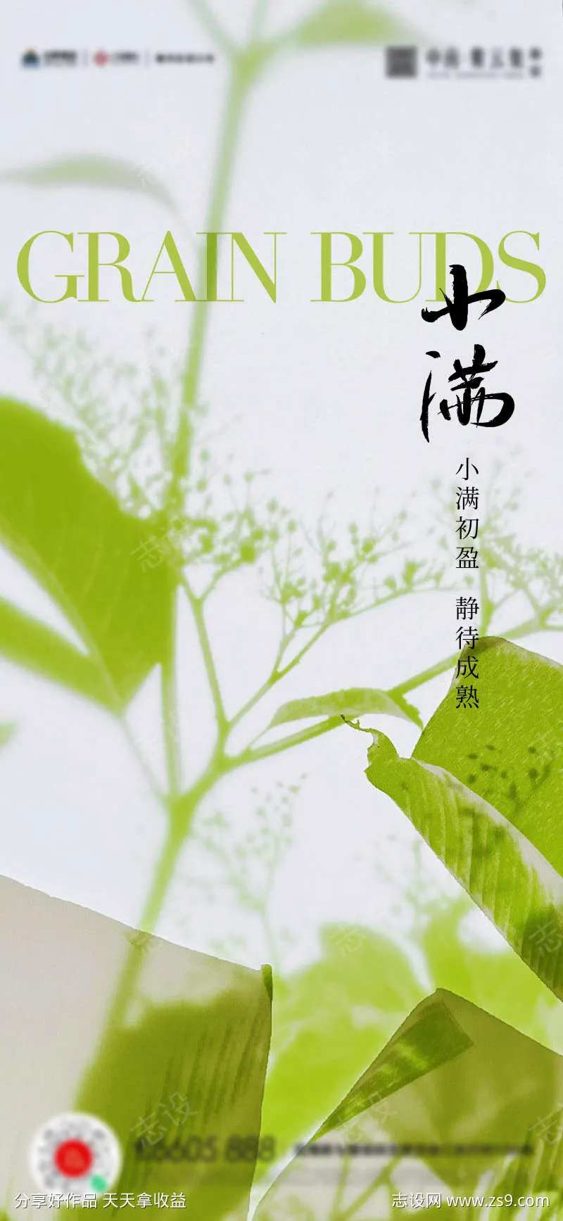 小满芒种夏至海报-采灵感-cailinggan.com
