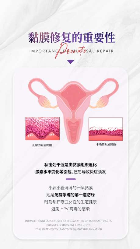 私密黏膜重要性-采灵感-https://www.cailinggan.com/