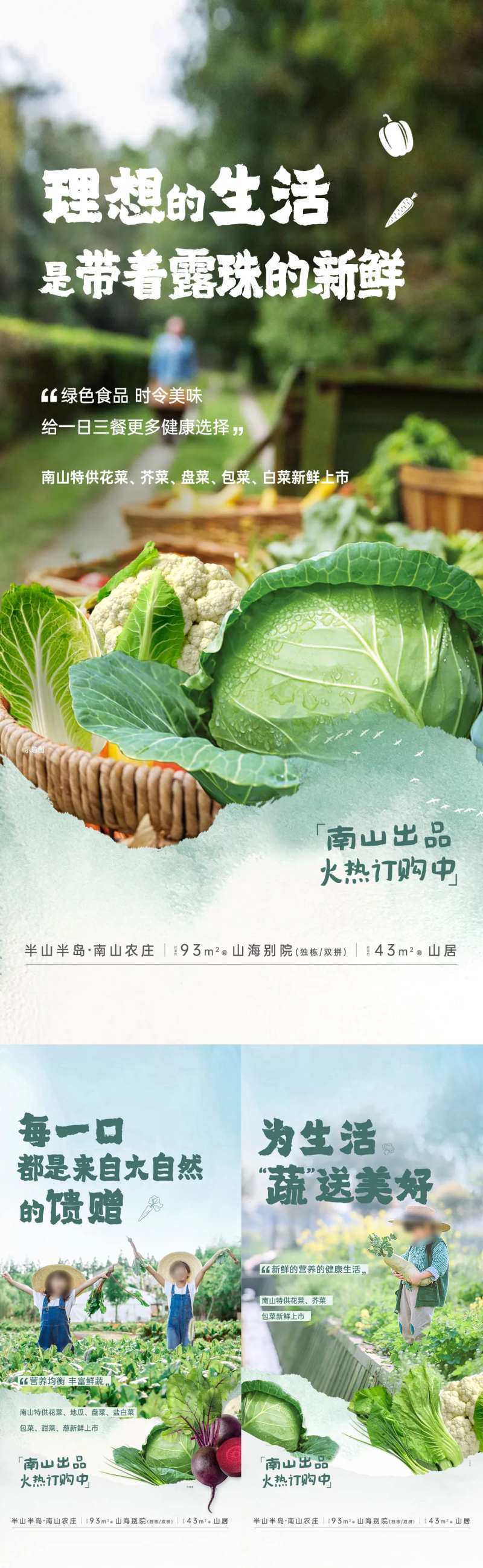 文旅地产农业蔬菜-采灵感-cailinggan.com
