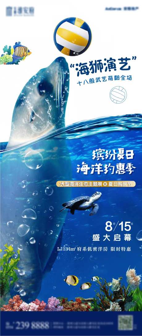 海狮表演活动海报-采灵感-https://www.cailinggan.com/