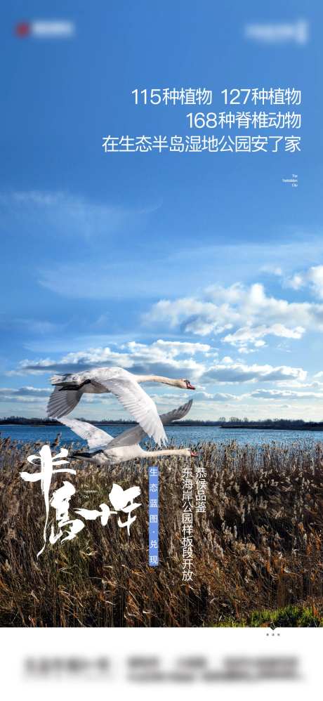野生动物宣传海报-采灵感-https://www.cailinggan.com/
