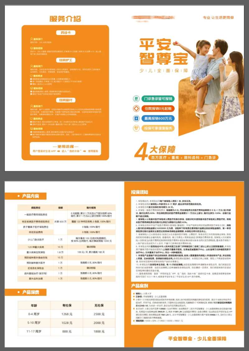 平安保险封套折页-采灵感-cailinggan.com