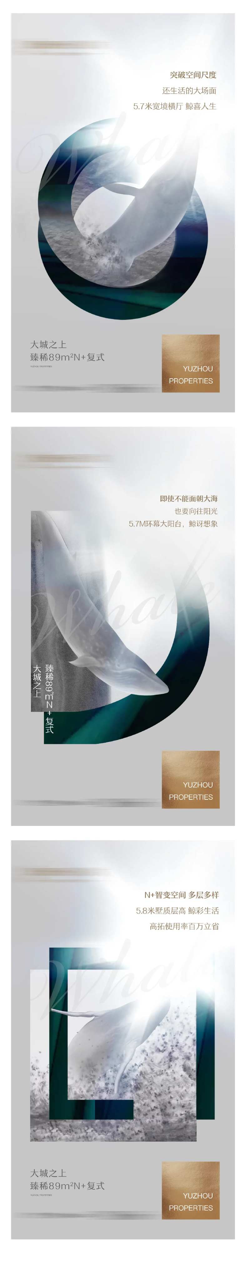 鲸鱼ip复式系列单图-采灵感-cailinggan.com