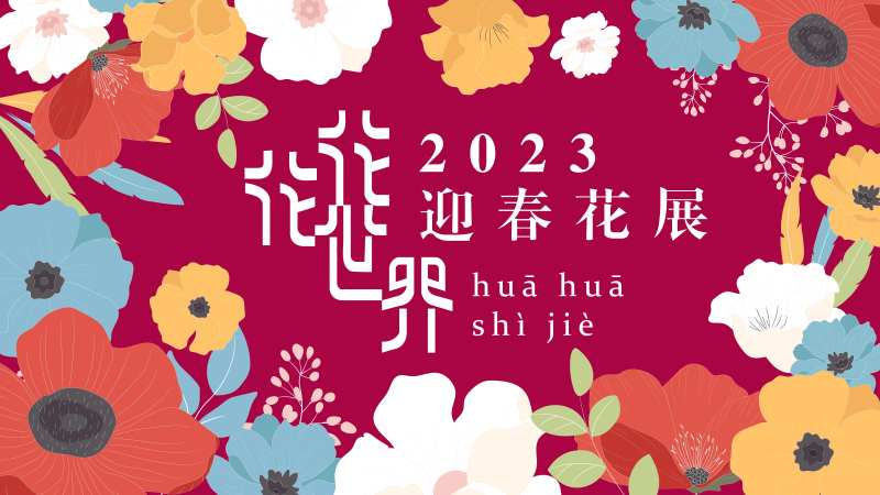 花花世界迎春花展主画面-采灵感-cailinggan.com