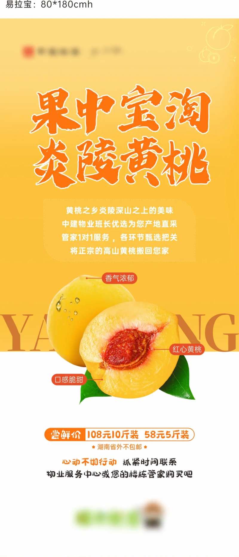 炎陵黄桃 展板-采灵感-cailinggan.com