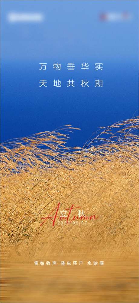 立秋节气海报-采灵感-cailinggan.com