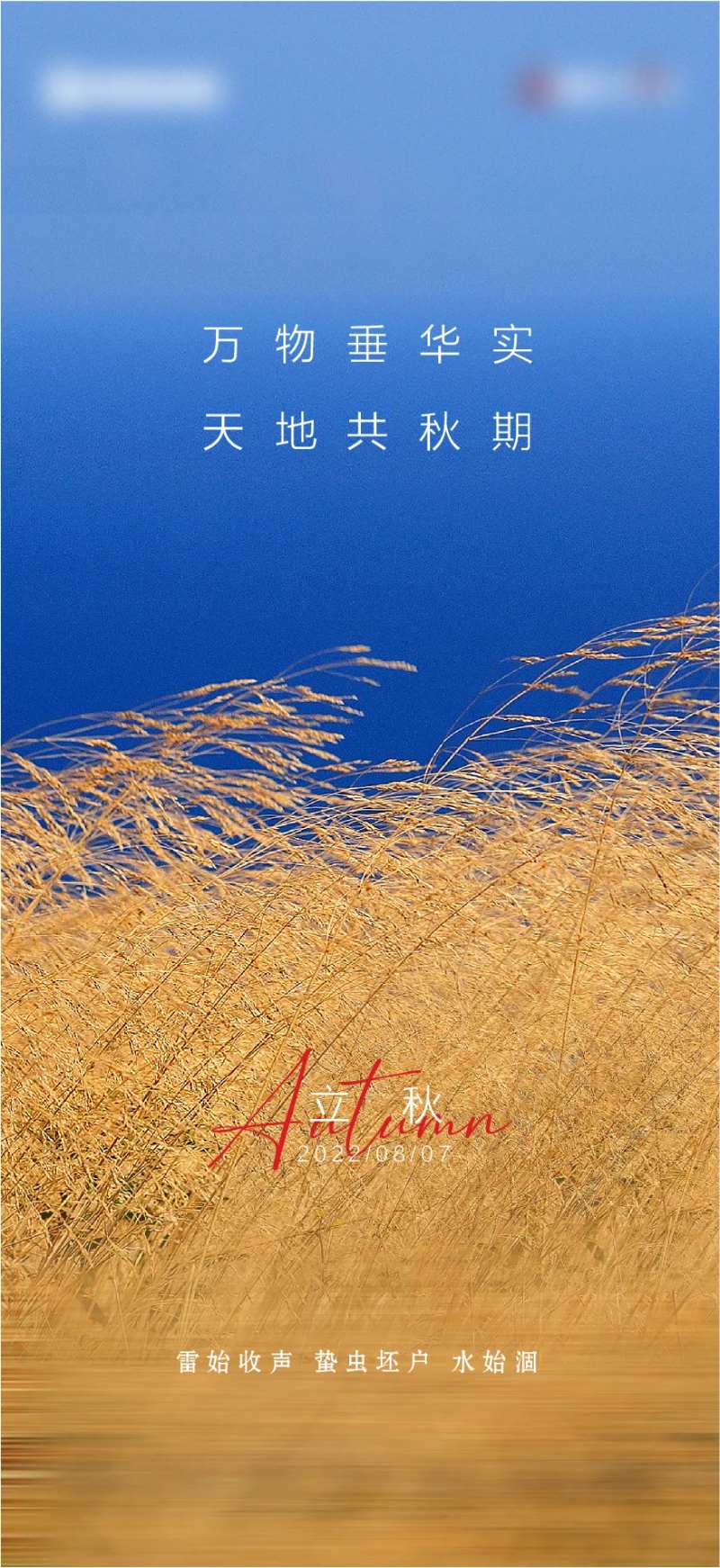 立秋节气海报-采灵感-cailinggan.com