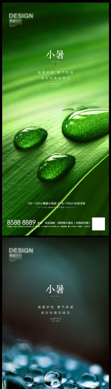 小暑水珠-采灵感-https://www.cailinggan.com/