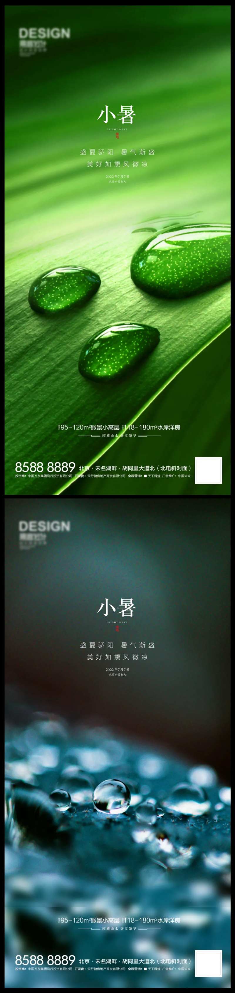 小暑水珠-采灵感-cailinggan.com