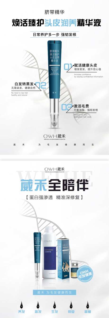 产品介绍海报-采灵感-https://www.cailinggan.com/