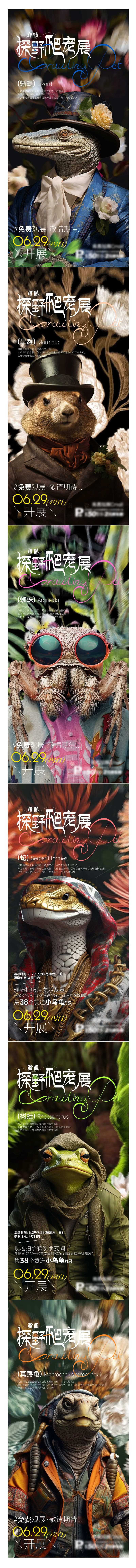 爬宠展海报-采灵感-cailinggan.com